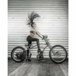 Custom Vélo Fourche Double Bras Chopper Springer Disc Chrome 1 1/8" -Custom Vélo Soldes fourche double bras 74cm triple velo chopper customisation 1 1 8 4