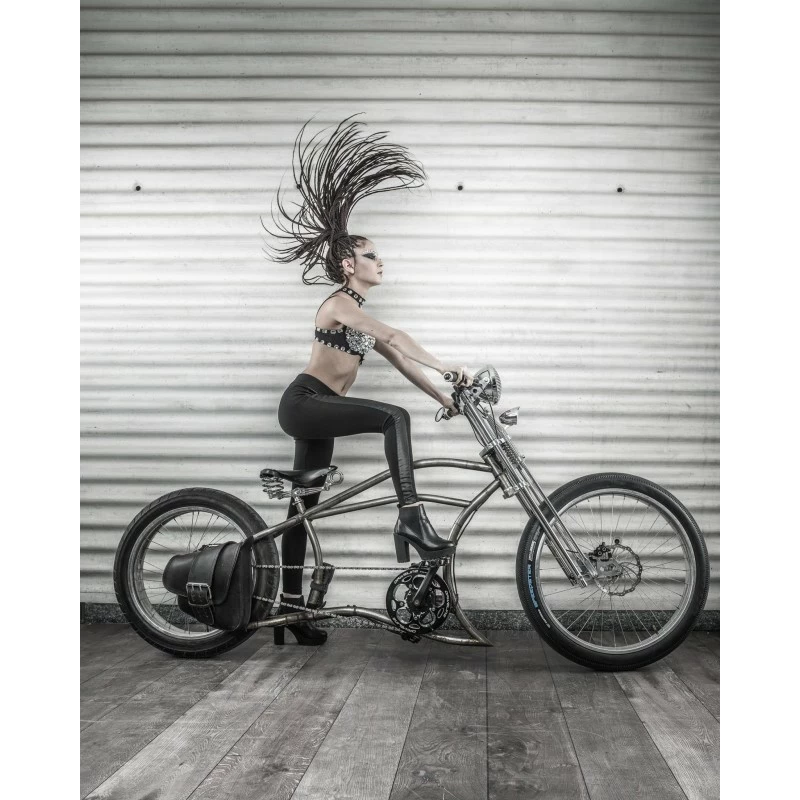 Custom Vélo Fourche Double Bras Chopper Springer Disc Chrome 1" 5 Custom Vélo Fourche Double Bras Chopper Springer Disc Chrome 1" – Image 5